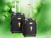 2011 elegent travel  luggage  set