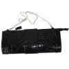 2011 evening bag
