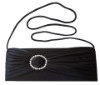 2011 evening bag