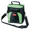 2011 fashion Atrium Insulated Cooler Bag