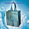 2011 fashion and hot seller PET bag