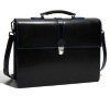 2011 fashion brief case-01