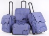 2011 fashion business luggage sets