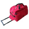 2011 fashion business trolley bag