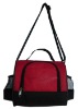 2011 fashion charactor lunch cooler bag