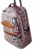 2011 fashion charming trolley bags