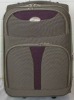 2011 fashion cheap  EVA trolley   case/hard case luggage