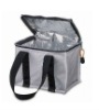 2011 fashion cooler bags for cans