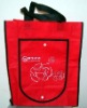 2011 fashion eco-fridendly nonwoven bag