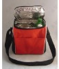 2011 fashion food warm bag