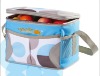 2011 fashion insulated lunch bags