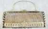 2011 fashion lady evening bag