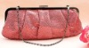 2011 fashion lady evening clutch bag