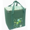 2011 fashion large cooler bag