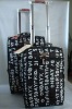 2011 fashion luggage