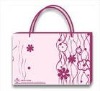 2011 fashion non-woven bag(DFY-S039)