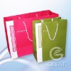 2011 fashion packing paper bag for shopping(Gre-032511)