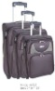 2011 fashion trolley case