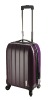 2011 fashionable PC trolley case