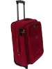 2011 fashionable designed trolley case