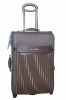 2011 fashionable trolley case