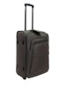 2011 fashionable trolley luggage