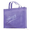 2011 fashional non-woven bag