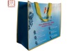 2011 fasion pp non woven shopping bag