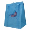 2011 gift/advertising bag