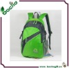 2011 green backpack