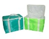 2011 green cooler bag