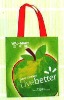 2011 green non woven shopping bag