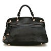 2011 high quality Newest women handbag