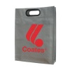 2011 hot non woven shopping bag(DFY-S020)