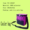 2011 hot sale cooler bag