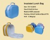 2011 hot sale cooler bag