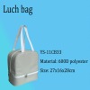 2011 hot sale cooler bag