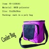 2011 hot sale cooler bag