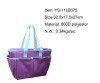 2011 hot sale cooler bag