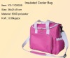 2011 hot sale cooler bag