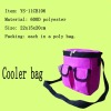 2011 hot sale cooler bag