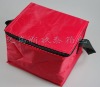 2011 hot sale ice bag