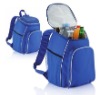 2011 hot sell outdoor cooler backpack