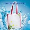 2011 hot sell pp non woven bag