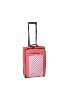 2011 hot selling lady suitcase