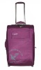 2011 hot selling trolley case