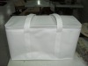 2011 insulated cooler bag