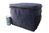 2011 large capacity food-storing ice cooler bag