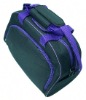 2011 latest luggage bags