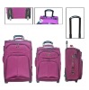 2011 leisure silk luggage sets